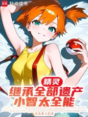 精灵：继承全部遗产，小智太全能